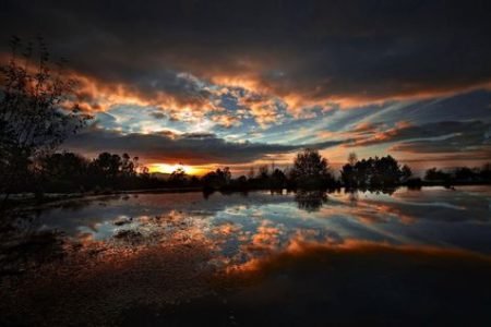 3c659d114db10377bb274cd519279524